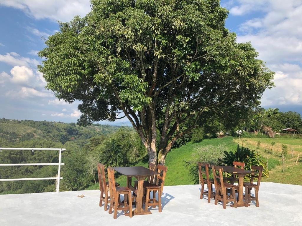 La Bella Vista Calarcá