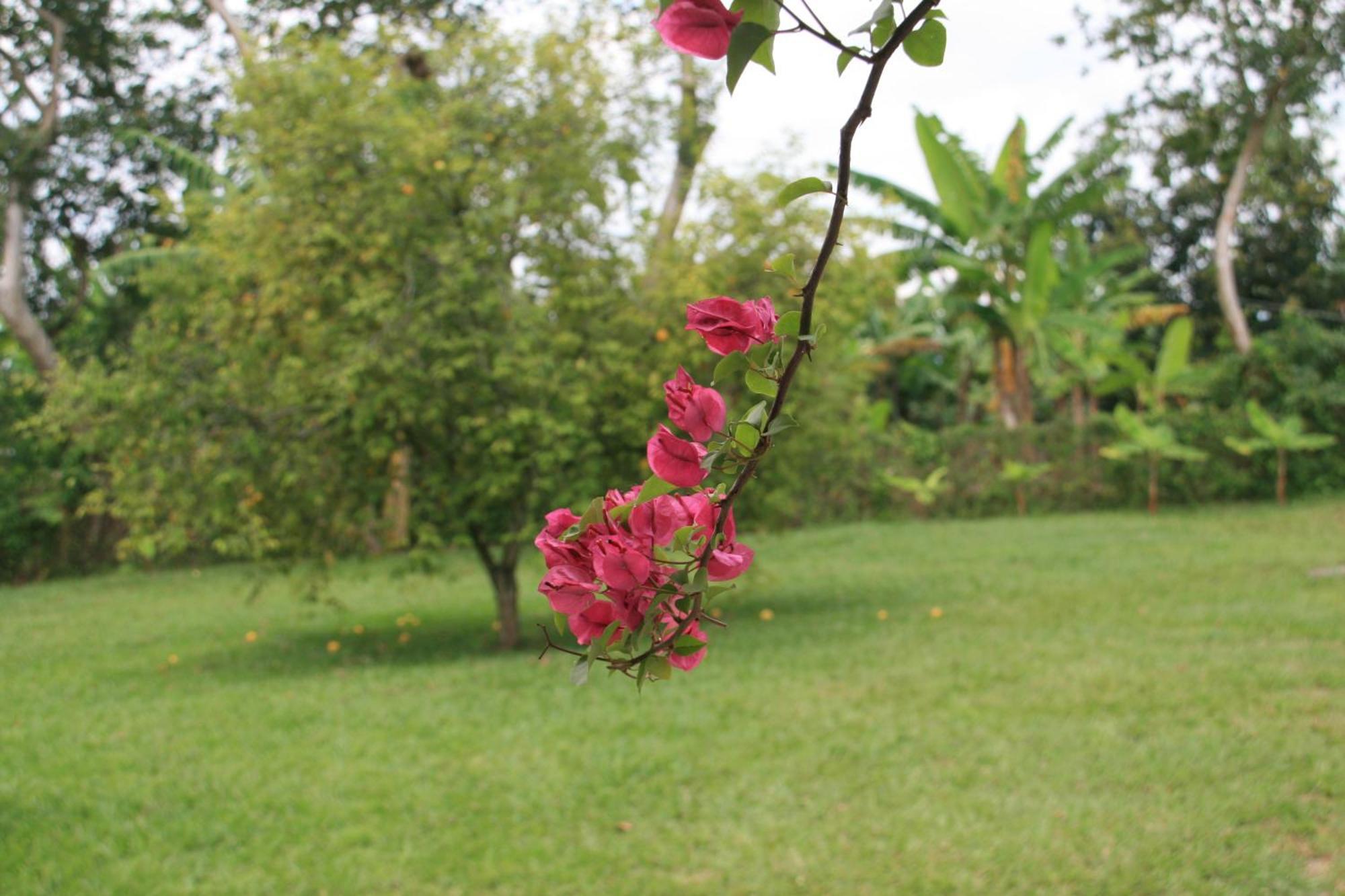 Casa de Campo La Bella Vista *