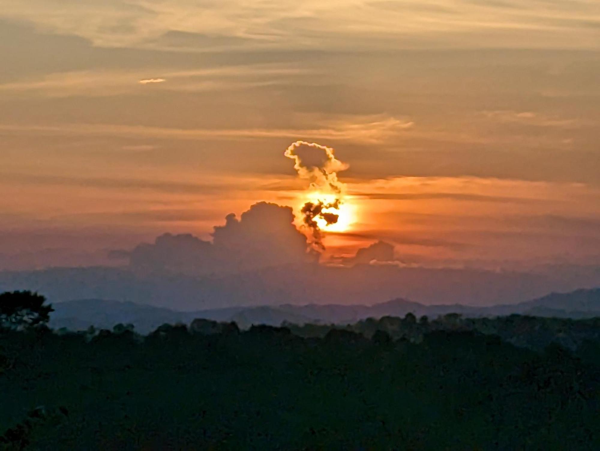 La Bella Vista *
